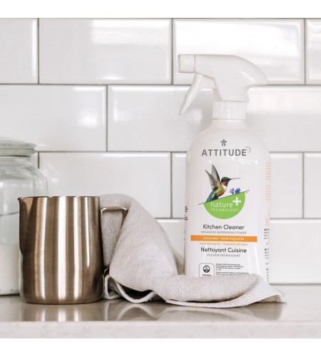 Kitchen Cleaner, ATTITUDE
