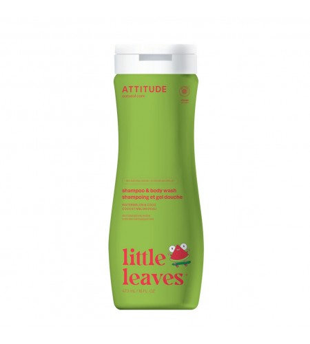 Little Leaves 2-in-1 Shampoo and Bo ...