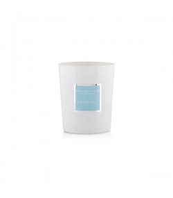 Acqua Viva Luxury Natural Candle Max Benjamin