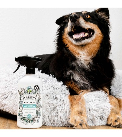 Pet Odor Eliminator, Pet-Pourri