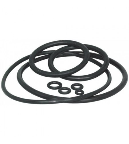 New set of gaskets for Bergeon 5555 ...
