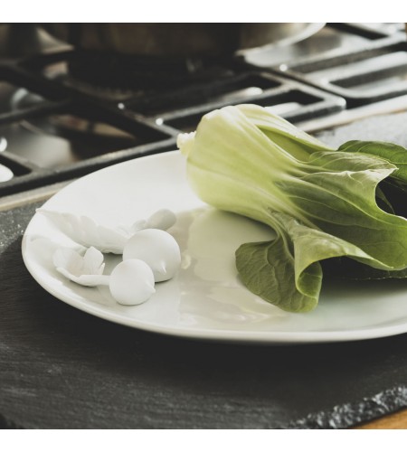 Porcelain Plate Räder Radish