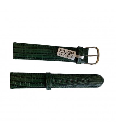 Teju Lizard XL leather strap for watches in green color 20 mm silver tone buckle