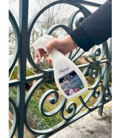 Hagerty Outdoor Metal Cleaner Spray - 500 ml