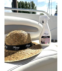 Hagerty Outdoor Plastic Cleaner Spray - 500 ml
