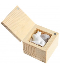 Lucky Box Frog by Raeder