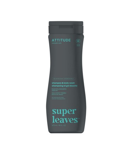 2 in 1 Shampoo and Body Wash for men, Super Leaves, ATTITUDE