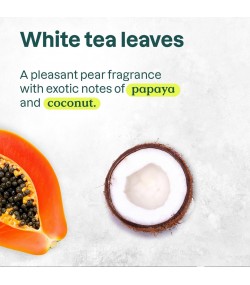 Moisturizing Shower Gel, White Tea Leaves, Super Leaves, ATTITUDE