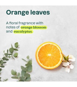 ATTITUDE Super Leaves Energizing Shower Gel, Orange Leaves