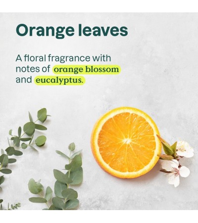 ATTITUDE Super Leaves Energizing Shower Gel, Orange Leaves