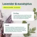 Air Purifier, Lavender and Eucalyptus, ATTITUDE, 227 g,