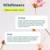 ATTITUDE Nature + Technology Wildflowers Fabric Softener, 40 Loads