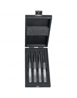 Horotec MSA12.388 Antimagnetic Twee ...