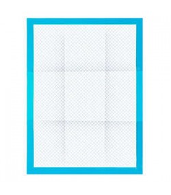 Purlov Absorbent Hygienic Pets Pad - 100 Pcs