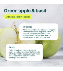 ATTITUDE Air Purifier – Green Apple & Basil, 227 g