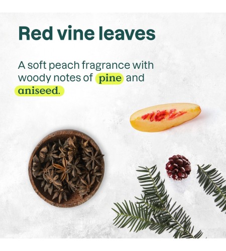 Glowing Shower Gel, Vine Leaves and ...