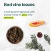 Glowing Shower Gel, Vine Leaves and Pomegranate, Super leaves, ATTITUDE