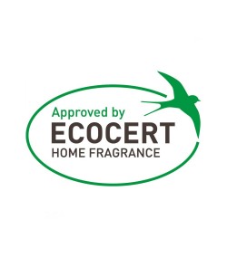 Hagerty A118052 Odour Eliminator spray, 500 ml