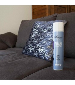 Foam Shampoo: Carpet and Fabric Cleaner, Hagerty