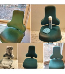 Foam Shampoo: Carpet and Fabric Cleaner, Hagerty