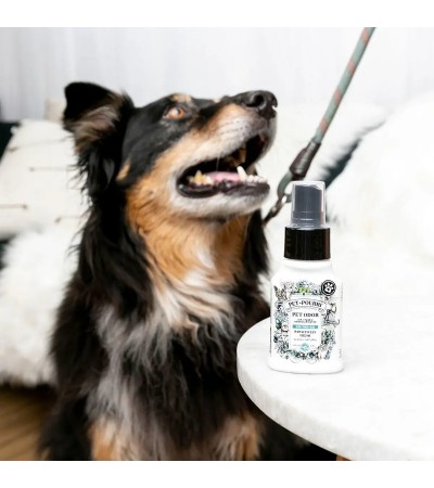 Pet Odor Eliminator on the go, Pet-Pourri