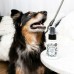Pet Odor Eliminator on the go, Pet-Pourri