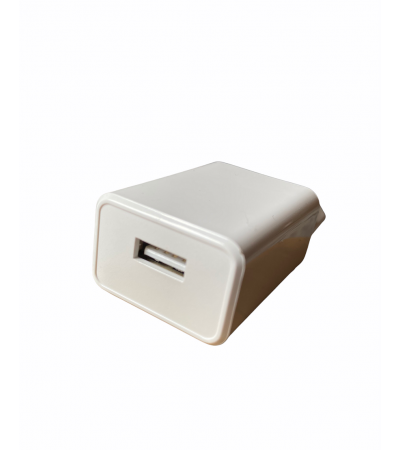 Power Adapter USB, 100-240V / 1000mA