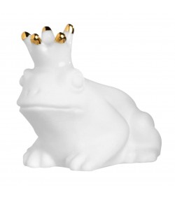 Lucky Box Frog by Raeder