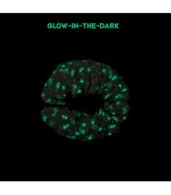 Play&Go Space Glow in the Dark Toy Storage Bag