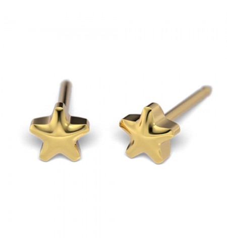 Studex Gold-Plated 4mm Star Earring ...
