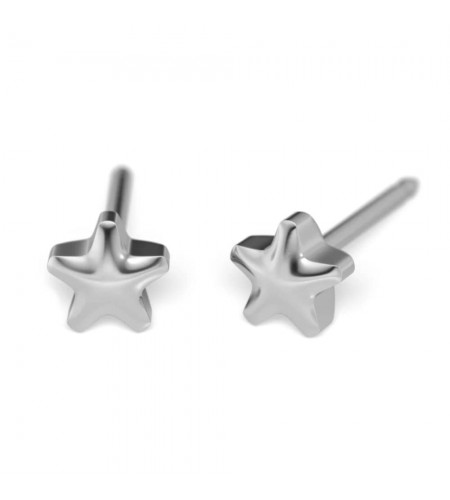 Studex silver (steel) 4mm Star Earr ...
