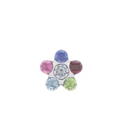 Studex steel Rainbow Daisy Flower Earrings, 5mm 7512-6213