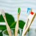 OLA Bamboo Toothbrushes