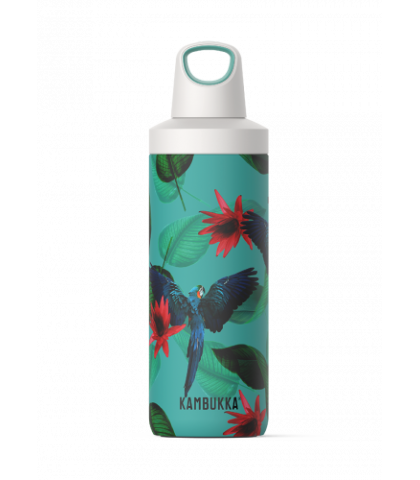 Kambukka RENO INSULATED 500 ML Parrots