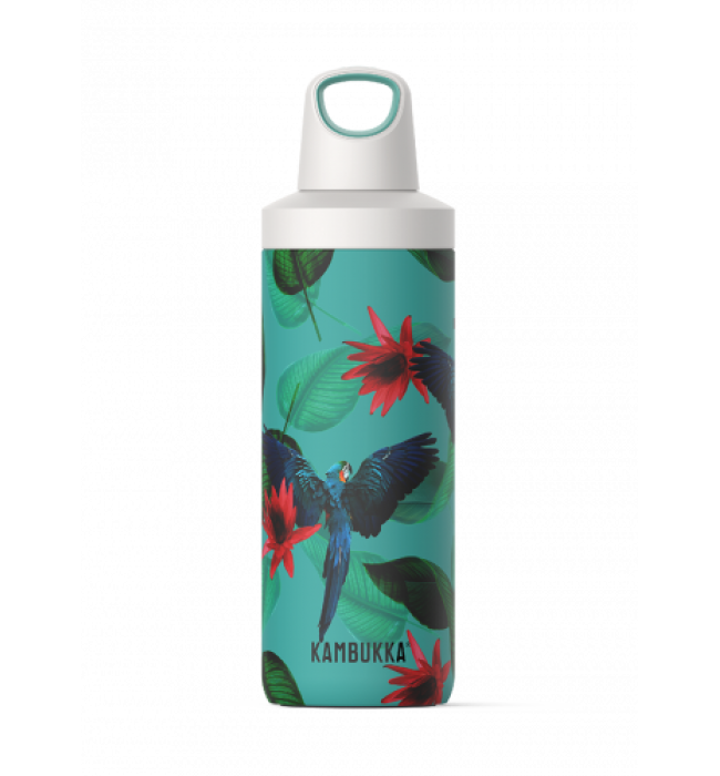 Kambukka RENO INSULATED 500 ML Parrots