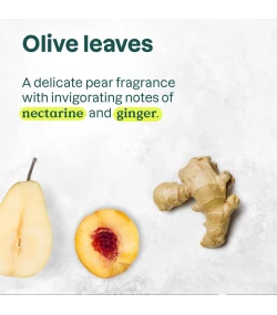 Liquid Hand Soap, Olive Leaves, Super leaves, ATTITUDE