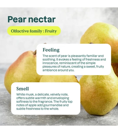 Baby Laundry Detergent - Pear Nectar, baby leaves, ATTITUDE