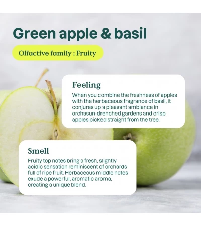 Air Purifier, Green Apple and Basil, 227 g, ATTITUDE