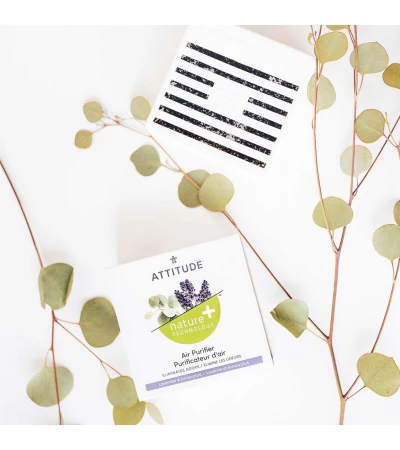 Air Purifier, Lavender and Eucalyptus, 227 g, ATTITUDE