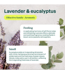Air Purifier, Lavender and Eucalyptus, 227 g, ATTITUDE