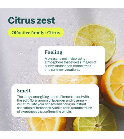 Bathroom Cleaner – Citrus Zest, ATTITUDE
