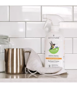 Kitchen Cleaner, ATTITUDE