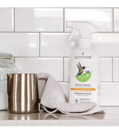 Kitchen Cleaner, ATTITUDE