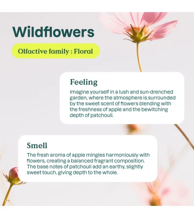 Fabric Softener, Wildflowers, 40 Loads, ATTITUDE