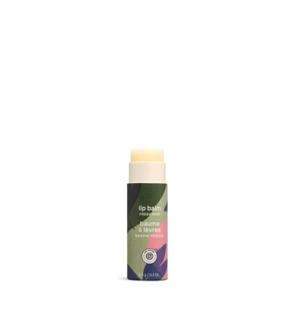 Lip Balm – Mint, Leaves Bar, ATTITUDE