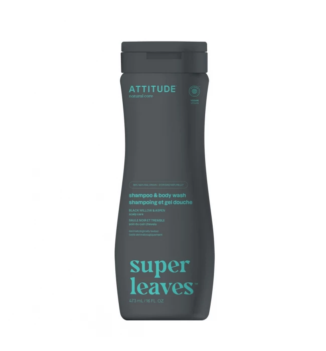 2 in 1 Shampoo and Body Wash for men, Super Leaves, ATTITUDE