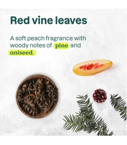 Glowing Shower Gel, Vine Leaves and Pomegranate, Super leaves, ATTITUDE