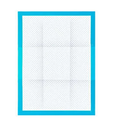 Absorbent Hygienic Pets Pad - 100 pcs.